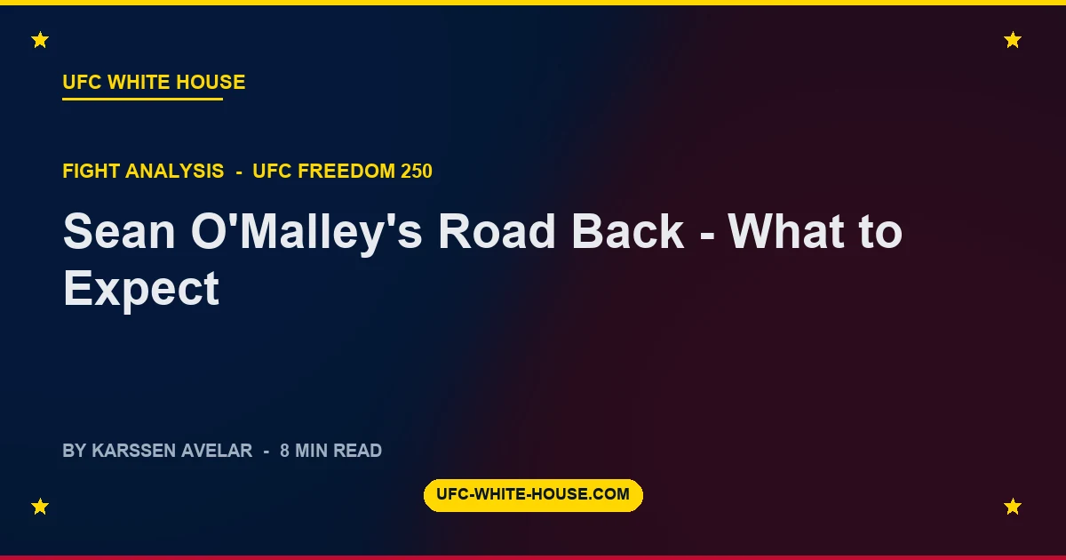 Sean O'Malley's Road Back - What to Expect